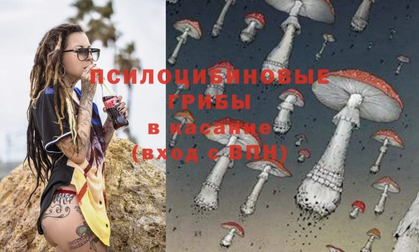 сатива Осинники