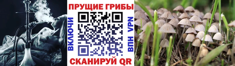 Псилоцибиновые грибы GOLDEN TEACHER  Городище 